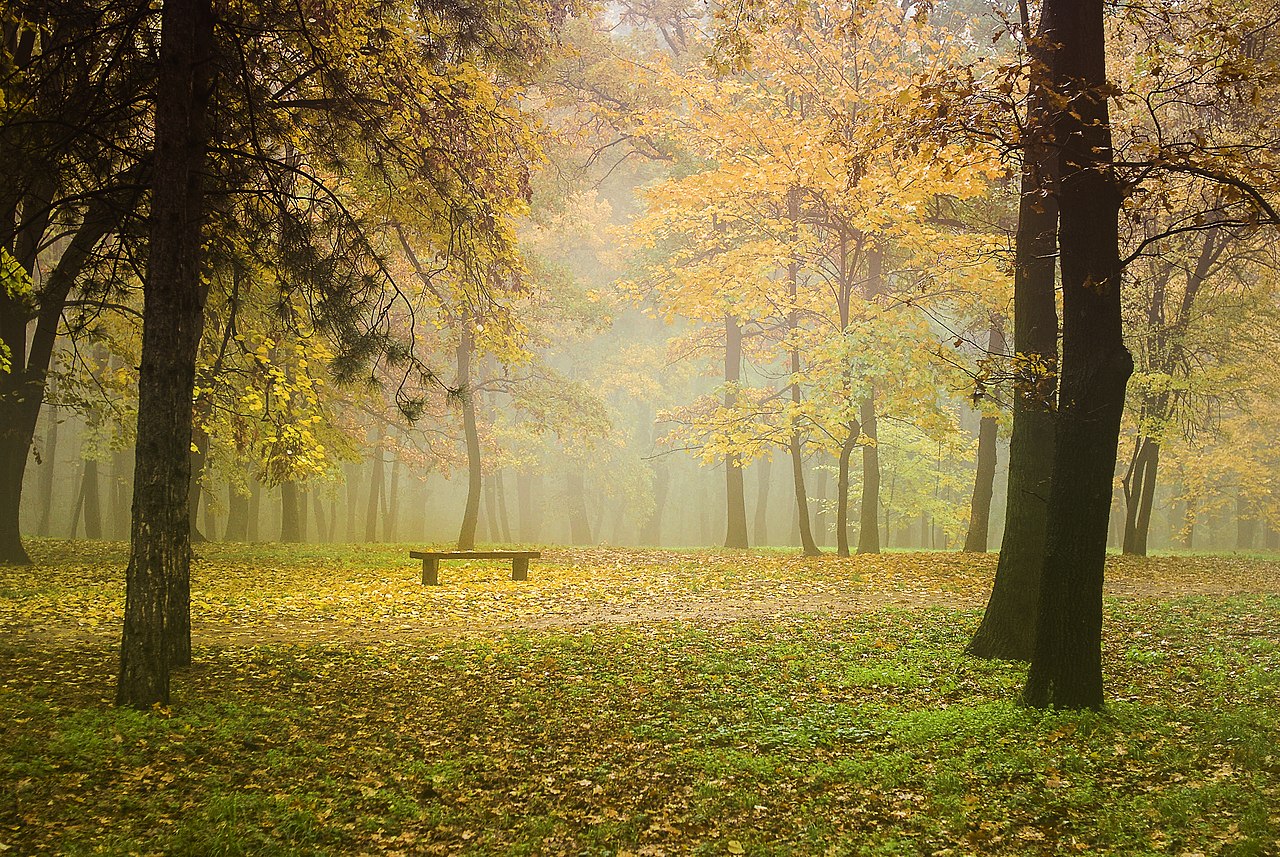 Košutnjak Hike - Belgrade