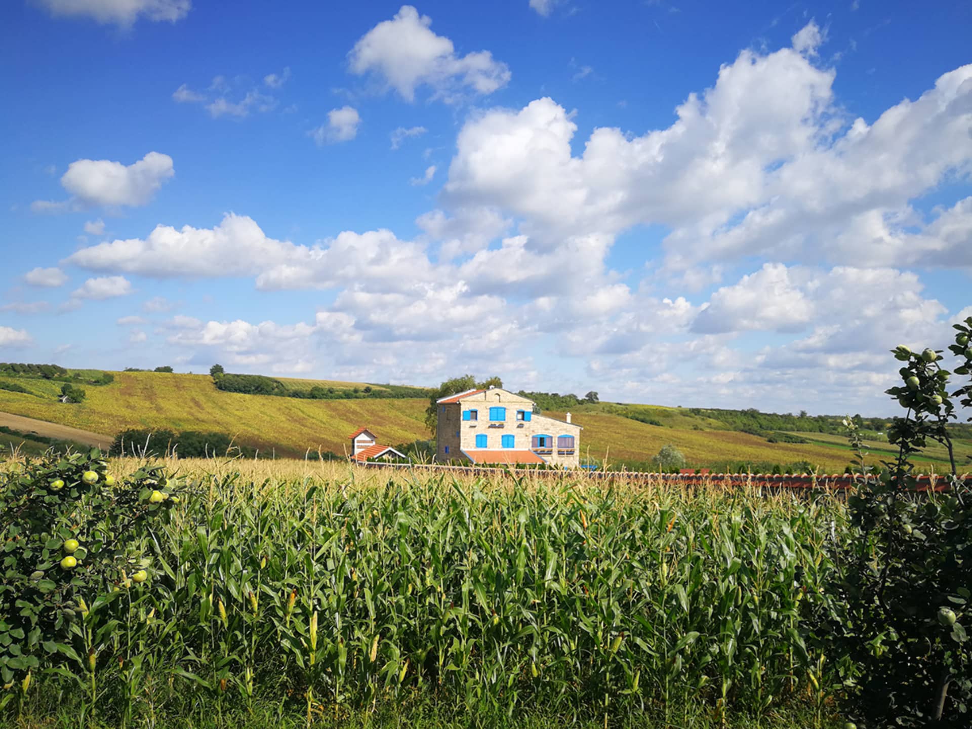 Pannonian Fairy Tale: Novi Sad & Fruška Gora National Park