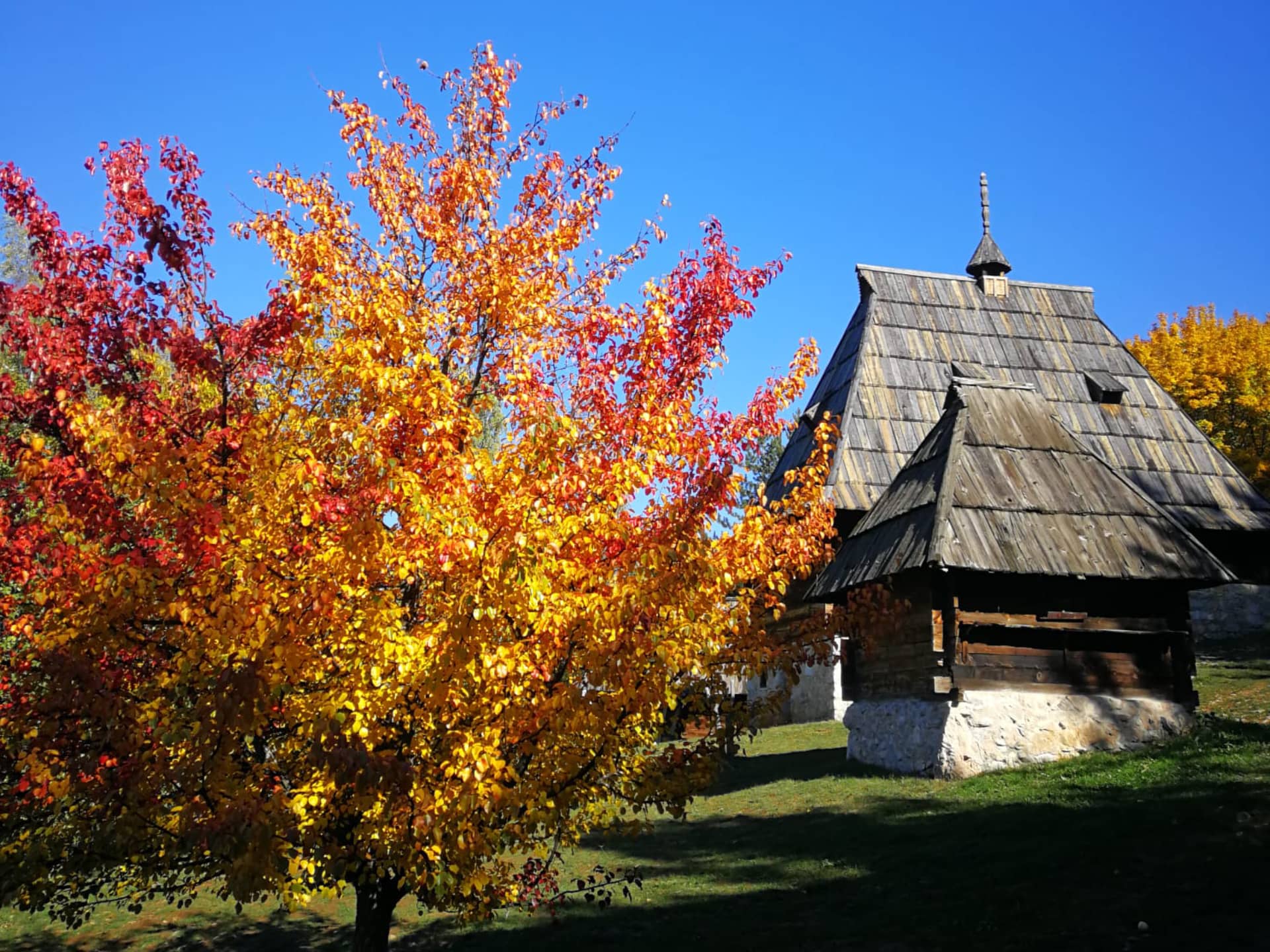 Zlatibor Tour